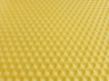 1000064009.jpg